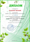 Петренко Арсений